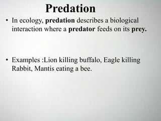 • In ecology, predation describes a biological
interaction where a predator feeds on its prey.
• Examples :Lion killing buffalo, Eagle killing
Rabbit, Mantis eating a bee.
Predation
 