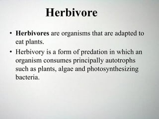 • Herbivores are organisms that are adapted to
eat plants.
• Herbivory is a form of predation in which an
organism consumes principally autotrophs
such as plants, algae and photosynthesizing
bacteria.
Herbivore
 