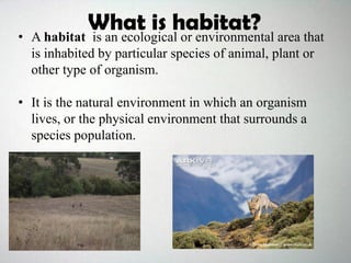 • A habitat is an ecological or environmental area that
is inhabited by particular species of animal, plant or
other type of organism.
• It is the natural environment in which an organism
lives, or the physical environment that surrounds a
species population.
What is habitat?
 