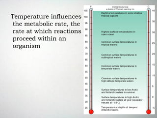 Temperature influences
the metabolic rate, the
rate at which reactions
proceed within an
organism.
 