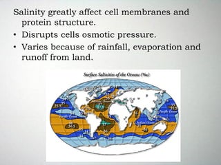 Salinity greatly affect cell membranes and
protein structure.
• Disrupts cells osmotic pressure.
• Varies because of rainfall, evaporation and
runoff from land.
 