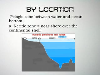 By Location
Pelagic zone between water and ocean
bottom.
a. Neritic zone = near shore over the
continental shelf
 