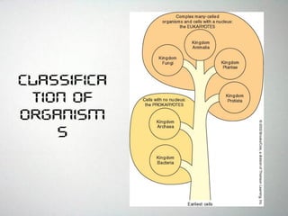 Classifica
tion of
Organism
s
 