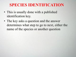 SPECIES IDENTIFICATION
• This is usually done with a published
identification key.
• The key asks a question and the answer
determines what step to go to next, either the
name of the species or another question
 
