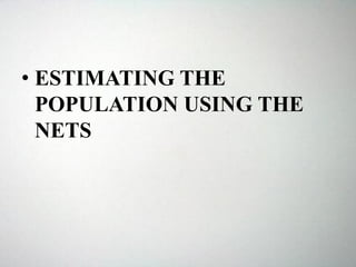 • ESTIMATING THE
POPULATION USING THE
NETS
 
