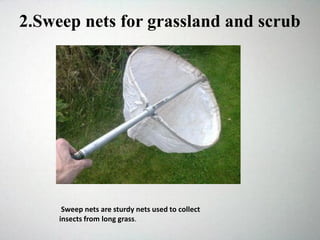 2.Sweep nets for grassland and scrub
Sweep nets are sturdy nets used to collect
insects from long grass.
 