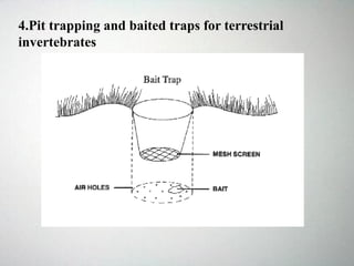 4.Pit trapping and baited traps for terrestrial
invertebrates
 