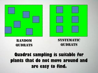 RANDOM
QUDRATS
SYSTEMATIC
QUDRATS
Quadrat sampling is suitable for
plants that do not move around and
are easy to find.
 