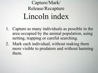 Capture/Mark/
Release/Recapture
Lincoln index
1. Capture as many individuals as possible in the
area occupied by the animal population, using
netting, trapping or careful searching.
2. Mark each individual, without making them
more visible to predators and without harming
them.
 