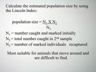 Calculate the estimated population size by using
the Lincoln Index:
population size = N1 X N2
N3
N1 = number caught and marked initially
N2 = total number caught in 2nd sample
N3 = number of marked individuals recaptured
Most suitable for animals that move around and
are difficult to find.
 