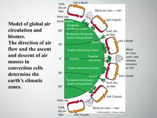 Cell 3 South
Cold,
dry air
falls
Moist air rises — rain
Cell 2 South
Cool, dry
air falls
Cell 1 South
Moist
air rises,
cools, and
releases
moisture
as rain
Cell 1 North
Cool, dry
air falls
Cell 2 North
Moist air rises — rain
Cell 3 NorthCold,
dry air
falls
Polar cap
Arctic tundra
60°
30°
0°
30°
60°
Polar cap
Evergreen
coniferous forest
Temperate deciduous
forest and grassland
Desert
Tropical deciduous forest
Equator
Tropical
rain forest
Tropical deciduous forest
Desert
Temperate deciduous
forest and grassland
Model of global air
circulation and
biomes.
The direction of air
flow and the ascent
and descent of air
masses in
convection cells
determine the
earth’s climatic
zones.
 
