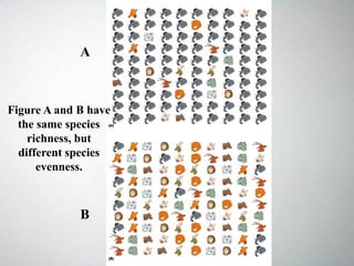 Figure A and B have
the same species
richness, but
different species
evenness.
A
B
 