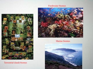Terrestrial (land) biomes
Freshwater biomes
Marine biomes
 