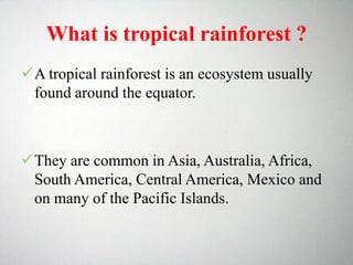 What is tropical rainforest ?
A tropical rainforest is an ecosystem usually
found around the equator.
They are common in Asia, Australia, Africa,
South America, Central America, Mexico and
on many of the Pacific Islands.
 