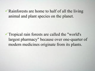 Rainforests are home to half of all the living
animal and plant species on the planet.
Tropical rain forests are called the "world's
largest pharmacy" because over one-quarter of
modern medicines originate from its plants.
 
