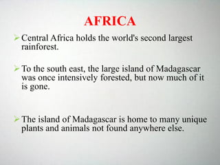 AFRICA
Central Africa holds the world's second largest
rainforest.
To the south east, the large island of Madagascar
was once intensively forested, but now much of it
is gone.
The island of Madagascar is home to many unique
plants and animals not found anywhere else.
 