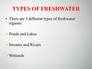 TYPES OF FRESHWATER
• There are 3 different types of freshwater
regions:
Ponds and Lakes
Streams and Rivers
Wetlands
 
