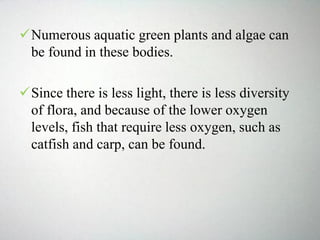Numerous aquatic green plants and algae can
be found in these bodies.
Since there is less light, there is less diversity
of flora, and because of the lower oxygen
levels, fish that require less oxygen, such as
catfish and carp, can be found.
 