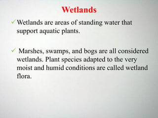 Wetlands
Wetlands are areas of standing water that
support aquatic plants.
 Marshes, swamps, and bogs are all considered
wetlands. Plant species adapted to the very
moist and humid conditions are called wetland
flora.
 