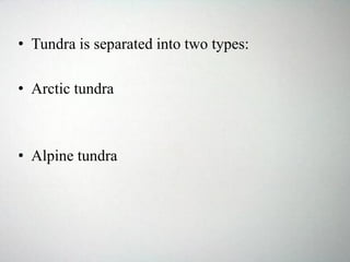 • Tundra is separated into two types:
• Arctic tundra
• Alpine tundra
 