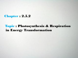 Chapter : 2.5.2
Topic : Photosynthesis & Respiration
in Energy Transformation
 