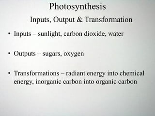 Photosynthesis
• Inputs – sunlight, carbon dioxide, water
• Outputs – sugars, oxygen
• Transformations – radiant energy into chemical
energy, inorganic carbon into organic carbon
Inputs, Output & Transformation
 