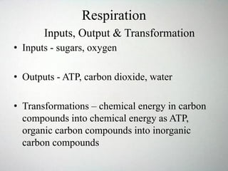 Respiration
• Inputs - sugars, oxygen
• Outputs - ATP, carbon dioxide, water
• Transformations – chemical energy in carbon
compounds into chemical energy as ATP,
organic carbon compounds into inorganic
carbon compounds
Inputs, Output & Transformation
 