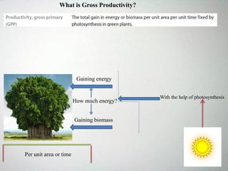 Gaining energy
Gaining biomass
With the help of photosynthesis
Per unit area or time
How much energy?
What is Gross Productivity?
 