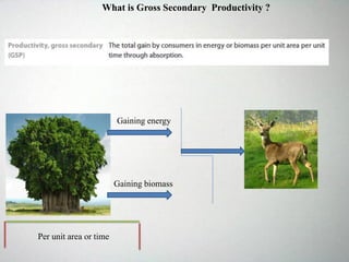 Gaining energy
Gaining biomass
Per unit area or time
What is Gross Secondary Productivity ?
 