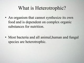 What is Heterotrophic?
• An organism that cannot synthesize its own
food and is dependent on complex organic
substances for nutrition.
• Most bacteria and all animal,human and fungal
species are heterotrophic.
 