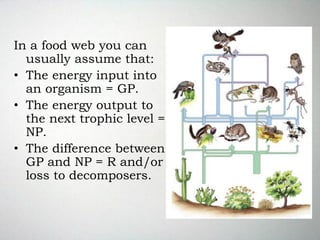 In a food web you can
usually assume that:
• The energy input into
an organism = GP.
• The energy output to
the next trophic level =
NP.
• The difference between
GP and NP = R and/or
loss to decomposers.
 