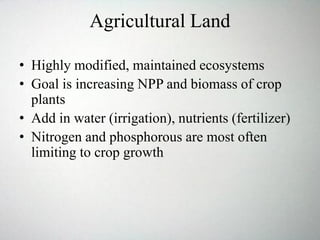 Agricultural Land
• Highly modified, maintained ecosystems
• Goal is increasing NPP and biomass of crop
plants
• Add in water (irrigation), nutrients (fertilizer)
• Nitrogen and phosphorous are most often
limiting to crop growth
 