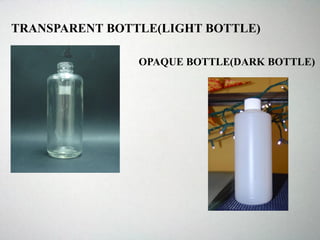 TRANSPARENT BOTTLE(LIGHT BOTTLE)
OPAQUE BOTTLE(DARK BOTTLE)
 