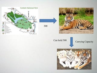 300
Can hold 500
Carrying Capacity
 