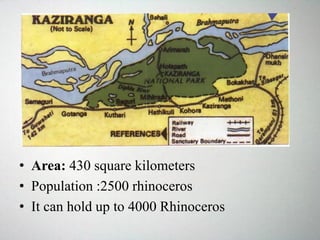 • Area: 430 square kilometers
• Population :2500 rhinoceros
• It can hold up to 4000 Rhinoceros
 
