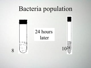 Bacteria population
8 1024
24 hours
later
 