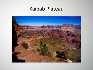 Kaibab Plateau
 