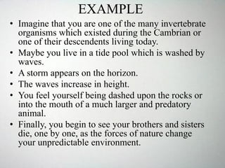 EXAMPLE
• Imagine that you are one of the many invertebrate
organisms which existed during the Cambrian or
one of their descendents living today.
• Maybe you live in a tide pool which is washed by
waves.
• A storm appears on the horizon.
• The waves increase in height.
• You feel yourself being dashed upon the rocks or
into the mouth of a much larger and predatory
animal.
• Finally, you begin to see your brothers and sisters
die, one by one, as the forces of nature change
your unpredictable environment.
 
