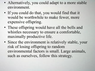 • Alternatively, you could adapt to a more stable
environment.
• If you could do that, you would find that it
would be worthwhile to make fewer, more
expensive offspring.
• These offspring would have all the bells and
whistles necessary to ensure a comfortable,
maximally productive life.
• Since the environment is relatively stable, your
risk of losing offspring to random
environmental factors is small. Large animals,
such as ourselves, follow this strategy.
 