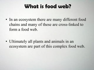 • In an ecosystem there are many different food
chains and many of these are cross-linked to
form a food web.
• Ultimately all plants and animals in an
ecosystem are part of this complex food web.
What is food web?
 