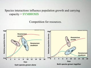 Species interactions influence population growth and carrying
capacity = SYMBIOSIS
Competition for resources.
High
Low
Relativepopulationdensity
0 2 4 6 8 10 12 14 16 18
Days
Each species grown alone
Paramecium
aurelia
Paramecium
caudatum
High
Low
Relativepopulationdensity
0 2 4 6 8 10 12 14 16 18
Days
Both species grown together
Paramecium
aurelia
Paramecium
caudatum
 