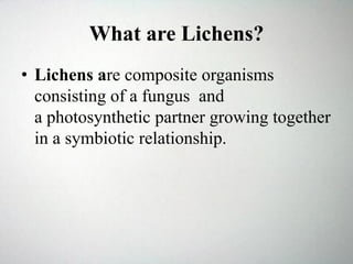 What are Lichens?
• Lichens are composite organisms
consisting of a fungus and
a photosynthetic partner growing together
in a symbiotic relationship.
 