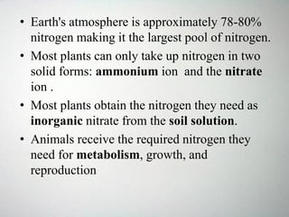 • Earth's atmosphere is approximately 78-80%
nitrogen making it the largest pool of nitrogen.
• Most plants can only take up nitrogen in two
solid forms: ammonium ion and the nitrate
ion .
• Most plants obtain the nitrogen they need as
inorganic nitrate from the soil solution.
• Animals receive the required nitrogen they
need for metabolism, growth, and
reproduction
 