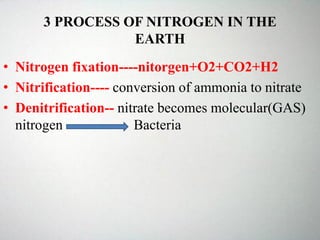 3 PROCESS OF NITROGEN IN THE
EARTH
• Nitrogen fixation----nitorgen+O2+CO2+H2
• Nitrification---- conversion of ammonia to nitrate
• Denitrification-- nitrate becomes molecular(GAS)
nitrogen Bacteria
 