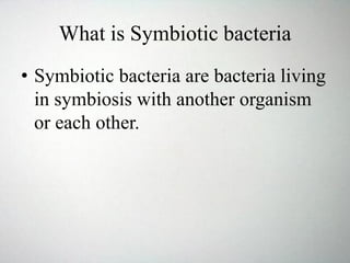 What is Symbiotic bacteria
• Symbiotic bacteria are bacteria living
in symbiosis with another organism
or each other.
 