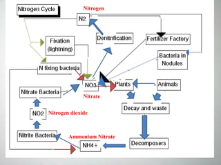 Nitrate
Nitrogen dioxide
Ammonium Nitrate
Nitrogen
 