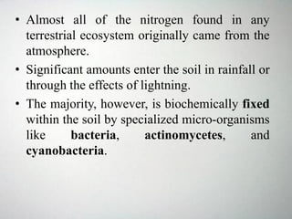 • Almost all of the nitrogen found in any
terrestrial ecosystem originally came from the
atmosphere.
• Significant amounts enter the soil in rainfall or
through the effects of lightning.
• The majority, however, is biochemically fixed
within the soil by specialized micro-organisms
like bacteria, actinomycetes, and
cyanobacteria.
 