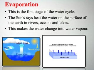 Evaporation
• This is the first stage of the water cycle.
• The Sun's rays heat the water on the surface of
the earth in rivers, oceans and lakes.
• This makes the water change into water vapour.
 