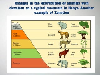 Changes in the distribution of animals with
elevation on a typical mountain in Kenya. Another
example of Zonation
 