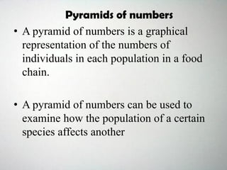 Pyramids of numbers
• A pyramid of numbers is a graphical
representation of the numbers of
individuals in each population in a food
chain.
• A pyramid of numbers can be used to
examine how the population of a certain
species affects another
 